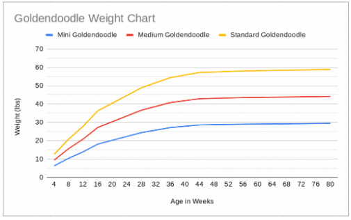Golden Weight Chart