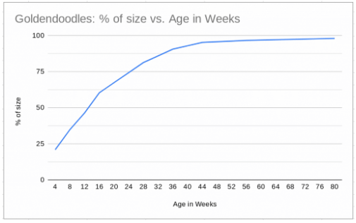Goldendoodle Growth Chart